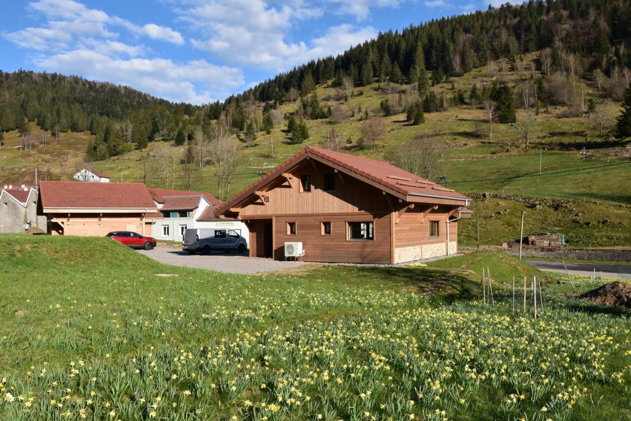 Tout Neuf - Chalet Pebie 8 A 10 Pers Avec Sauna La Bresse Buitenkant foto